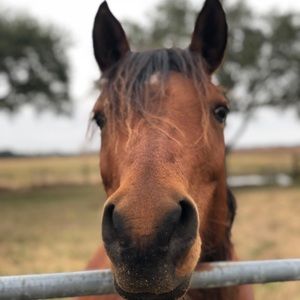 Meet your Posher, Megan